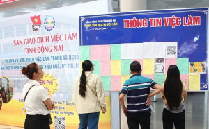 Đồng Nai triển khai chính sách chi trả kinh phí cho cộng tác viên hỗ trợ giải quyết việc làm