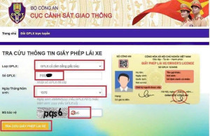 HƯỚNG DẪN TRA CỨU THÔNG TIN GIẤY PHÉP LÁI XE CŨ (DẠNG GIẤY...