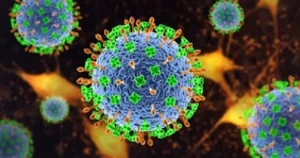 CHỦ ĐỘNG PHÒNG BỆNH – NÂNG CAO NHẬN THỨC VỀ VI RÚT NIPAH