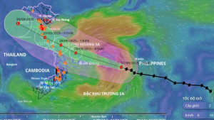 Khẩn trương triển khai nhiệm vụ cấp bách ứng phó bão số 10