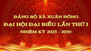 PHIM TƯ LIÊU ĐẠI HỘI ĐẠI BIỂU ĐẢNG BỘ XÃ XUÂN ĐÔNG LẦN THỨ I, NHIỆM KỲ 2025 -2030