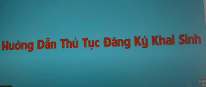 Thủ tục đăng ký khai sinh trực tiếp và trực tuyến