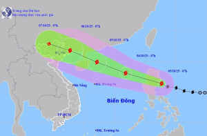 Tin mới nhất về Bão MATMO