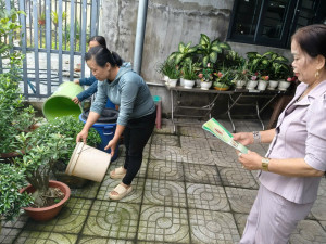 dlquANG