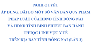 nq2 VN