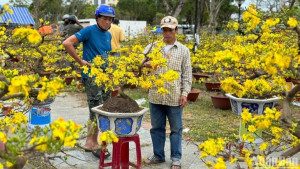 -	Xã Xuân Đông khẩn trương triển khai kế hoạch, tổ chức Chợ hoa Xuân Bính Ngọ 2026