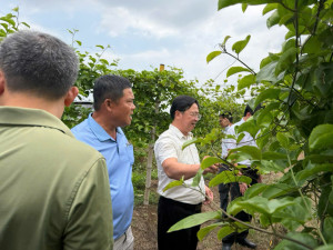 SỞ NÔNG NGHIỆP VÀ MÔI TRƯỜNG TÌNH ĐỒNG NAI LÀM VIỆC THỰC HIỆN DỰ ÁN LIÊN KẾT CHUỖI CUNG ỨNG CHANH LEO TẠI HAI XÃ XUÂN ĐÔNG, SÔNG RAY.