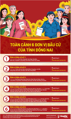 6 ĐƠN VỊ BẦU CỬ CỦA TỈNH ĐỒNG NAI