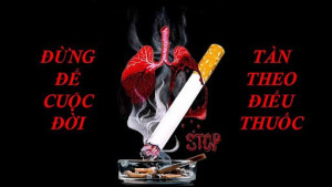 Tổ chức hoạt động hưởng ứng Ngày Thế giới không thuốc lá 31/5, Tuần lễ Quốc gia không thuốc lá từ ngày 25 đến ngày 31/5/2026 và tăng cường thực thi Luật Phòng, chống tác hại của thuốc lá trên địa bàn thành phố.