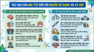Tác hại của ma túy đối với người sử dụng và xã hội
