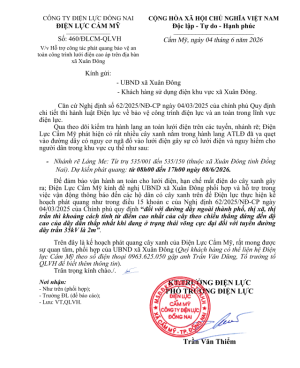 Hỗ trợ công tác phát quang bảo vệ an toàn lưới điện