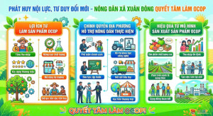 PHÁT HUY NỘI LỰC, TƯ DUY ĐỔI MỚI - NÔNG DÂN XÃ XUÂN ĐÔNG QUYẾT TÂM LÀM OCOP
