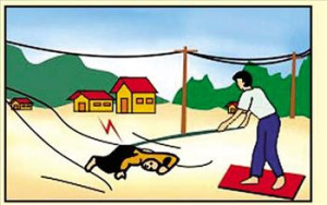 XUÂN ĐÔNG TĂNG CƯỜNG TUYÊN TRUYỀN, BẢO ĐẢM AN TOÀN TRONG SỬ DỤNG ĐIỆN