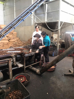 NÔNG DÂN SẢN XUẤT KINH DOANH GIỎI NHỜ NGUỒN VỐN TÍN DỤNG CHÍNH SÁCH XÃ HỘI