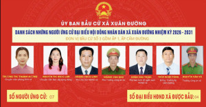 TIỂU SỬ TÓM TẮT NGƯỜI ỨNG CỬ ĐẠI BIỂU HĐND XÃ XUÂN ĐƯỜNG, NHIỆM KỲ 2026 – 2031 TẠI ĐƠN VỊ BẦU CỬ SỐ 3