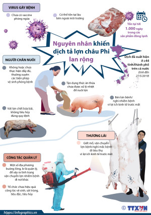 THỰC HIỆN CÁC BIỆN PHÁP PHÒNG, CHỐNG DỊCH BỆNH DỊCH TẢ HEO CHÂU PHI (DTHCP)