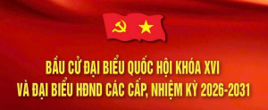 Những lưu ý đối với cử tri khi tham gia bầu cử