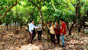 Xuân Lộc triển khai nhiều giải pháp định hướng sản xuất nông nghiệp tập trung, phát triển nông nghiệp bền vững