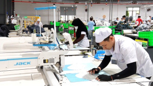 Xã Xuân Lộc ban hành Kế hoạch phát triển kinh tế - xã hội, quốc phòng - an ninh năm 2026