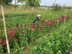 Xuân ấm no của đồng bào dân tộc Chơ ro ở Xuân Lộc