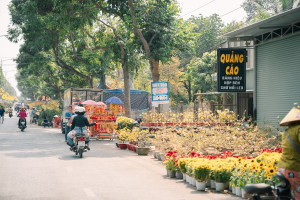 Xuân Lộc: Cấm xe ô tô và xe tải lưu thông trên tuyến đường Lê Duẩn trong thời gian diễn ra Chợ hoa Xuân