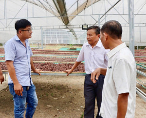 Phát triển kinh tế tập thể, hợp tác xã năm 2026 trên địa bàn phường Xuân Lộc
