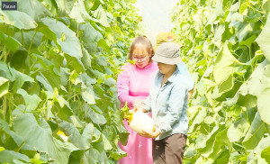 Ứng dụng công nghệ cao đã giúp nông dân Xuân Lộc nâng cao năng suất và chất lượng sản phẩm dưa lưới