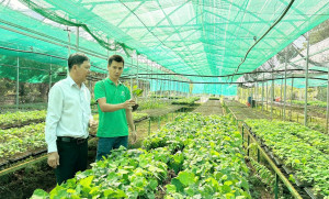 Kinh tế hợp tác - động lực mới trong hành trình "500 ngày đêm bứt phá" của Xuân Lộc