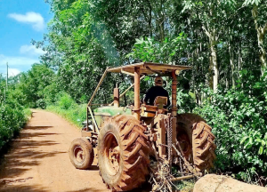 Xuân Lộc phối hợp rà soát, xử lý đường điện dân sinh trên...