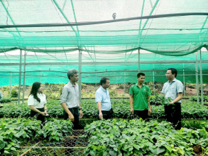 Hội Nông dân phường Xuân Lộc nhiều hoạt động hỗ trợ hội viên phát triển kinh tế