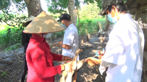Xuân Lộc triển khai tiêm phòng các bệnh cho gia súc, gia cầm...