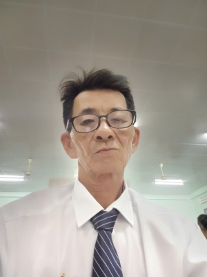 Mai Đình Ưa