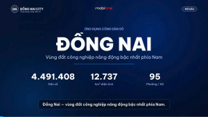Mọi người hãy cùng khám phá Đồng Nai City – xem video để biết thêm những tiện ích thú vị và tải app về trải nghiệm ngay nhé