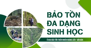 QUY TRÌNH ĐIỆN TỬ GIẢI QUYẾT TTHC LĨNH VỰC BẢO TỒN THIÊN NHIÊN VÀ ĐA DẠNG SINH HỌC