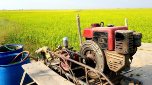 MỘT SỐ BIỆN PHÁP KHẮC PHỤC HẬU QUẢ DO MƯA BÃO TRÊN CÂY TRÔNG