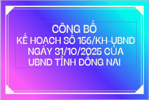 CÔNG BỐ KẾ HOẠCH SỐ 156/KH-UBND TỈNH ĐỒNG NAI