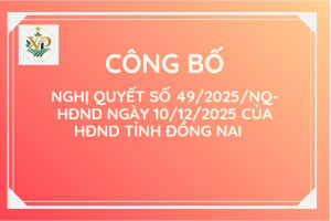 Công bố Nghị quyết số 49/2025/NQ-HĐND của HĐND tỉnh Đồng Nai quy định chế độ hỗ trợ kinh phí đối với người trực tiếp tham gia công tác giải quyết, tố giác tin báo về tội phạm và kiến nghị khởi tố, điều tra, truy tố, xét xử vụ án hình sự