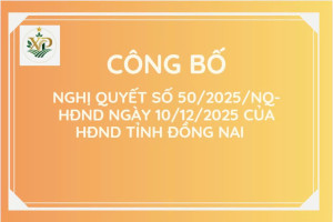 Công bố Nghị quyết số 50/2025/NQ-HĐND ngày 10/12/2025 của HĐND tỉnh Đồng Nai
