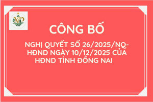 CÔNG BỐ NGHỊ QUYẾT SỐ 26/2025/NQ-HĐND NGÀY 10/12/2025 CỦA HĐND TỈNH ĐỒNG NAI QUY ĐỊNH ĐỐI TƯỢNG, MỨC HỖ TRỢ TRONG DỊP TẾT NGUYÊN ĐÁN TRÊN ĐỊA BAN TỈNH ĐỒNG NAI