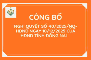 CÔNG BỐ NGHỊ QUYẾT SỐ 40/2025/NQ-HĐND NGÀY 10/12/2025 CỦA HĐND TỈNH ĐỒNG NAI
