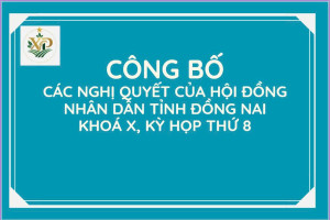 CÔNG BỐ CÁC NGHỊ QUYẾT HĐND TỈNH ĐỒNG NAI KHOÁ X KỲ HỌP THỨ 8