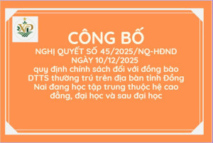 CÔNG BỐ NGHỊ QUYẾT SỐ 45/2025/NQ-HĐND NGÀY 10/12/2025