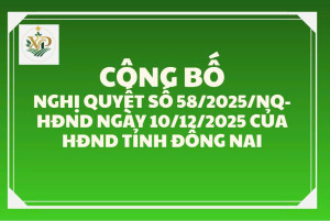 CÔNG BỐ NGHỊ QUYẾT SỐ 58/2025/NQ-HĐND NGÀY 10/12/2025