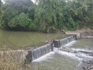 PHÒNG, TRÁNH ĐUỐI NƯỚC TẠI CÁC CÔNG TRÌNH THỦY LỢI