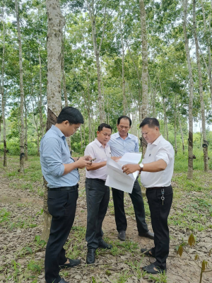 Khảo sát hiện trạng, rà soát quy hoạch, nhu cầu sử dụng nước thực hiện đầu tư Dự án Hồ chứa nước Sông Ray 2, xã Xuân Phú