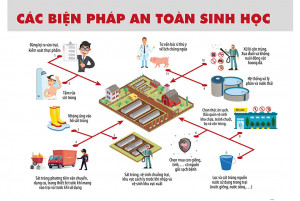 THỰC HIỆN CÁC BIỆN PHÁP AN TOÀN SINH HỌC TRONG CHĂN NUÔI ĐỂ PHÒNG CHỐNG DỊCH BỆNH, BẢO VỆ ĐÀN VẬT NUÔI