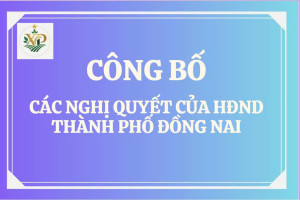 Công bố các Nghị quyết của HĐND thành phố Đồng Nai