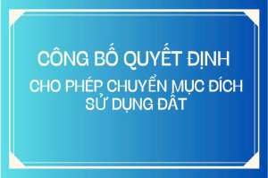 Quyết định cho phép chuyển đổi mục đích sử dụng đất ông Nguyễn Tấn Đạt