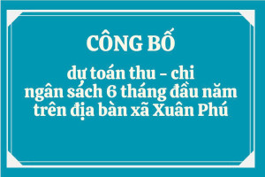 Công bố dự toán thu - chi ngân sách 6 tháng đầu năm 2026