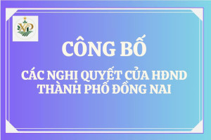 CÔNG BỐ CÁC NGHỊ QUYẾT CỦA HỘI ĐỒNG NHÂN DÂN THÀNH PHỐ ĐỒNG NAI